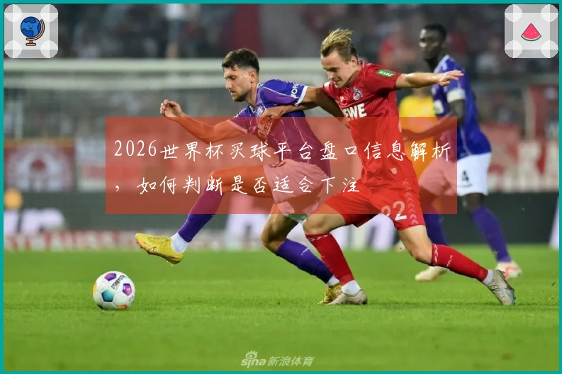 2026世界杯买球平台盘口信息解析，如何判断是否适合下注
