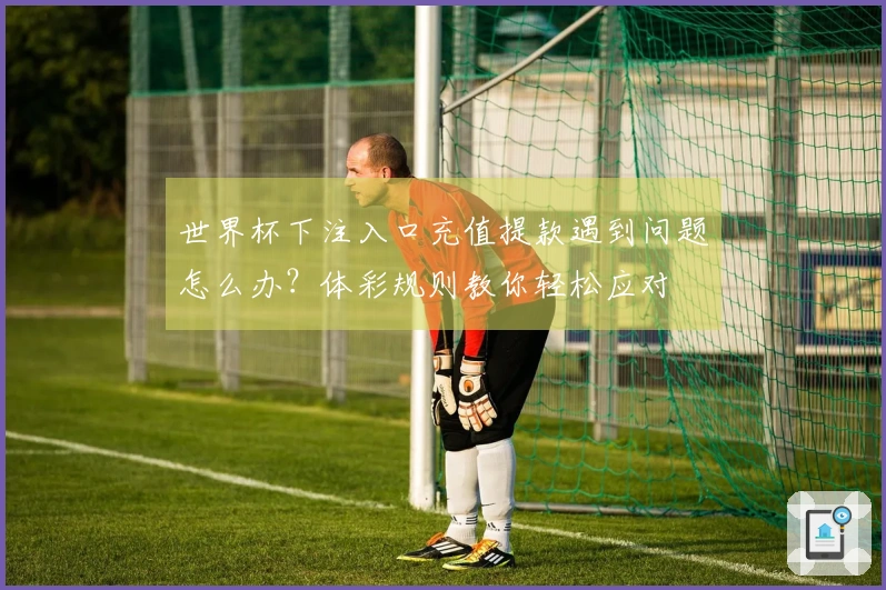世界杯下注入口充值提款遇到问题怎么办？体彩规则教你轻松应对